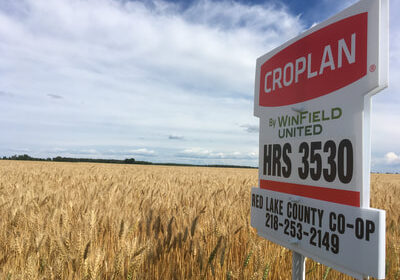 Croplan sign in a wheat field
